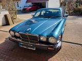 Jaguar XJ6 H-Kennzeichen RHD - Jaguar aus 1985