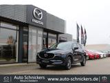 Mazda CX-5 SKY-G Exclusive-Line+NAV+AHK+8FACH BEREIFT  - Mazda: Cx8