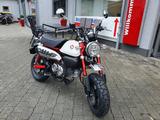 Honda Z125M Monkey 2025er Model + 6Jahre Garantie TZ - HONDA MONKEY