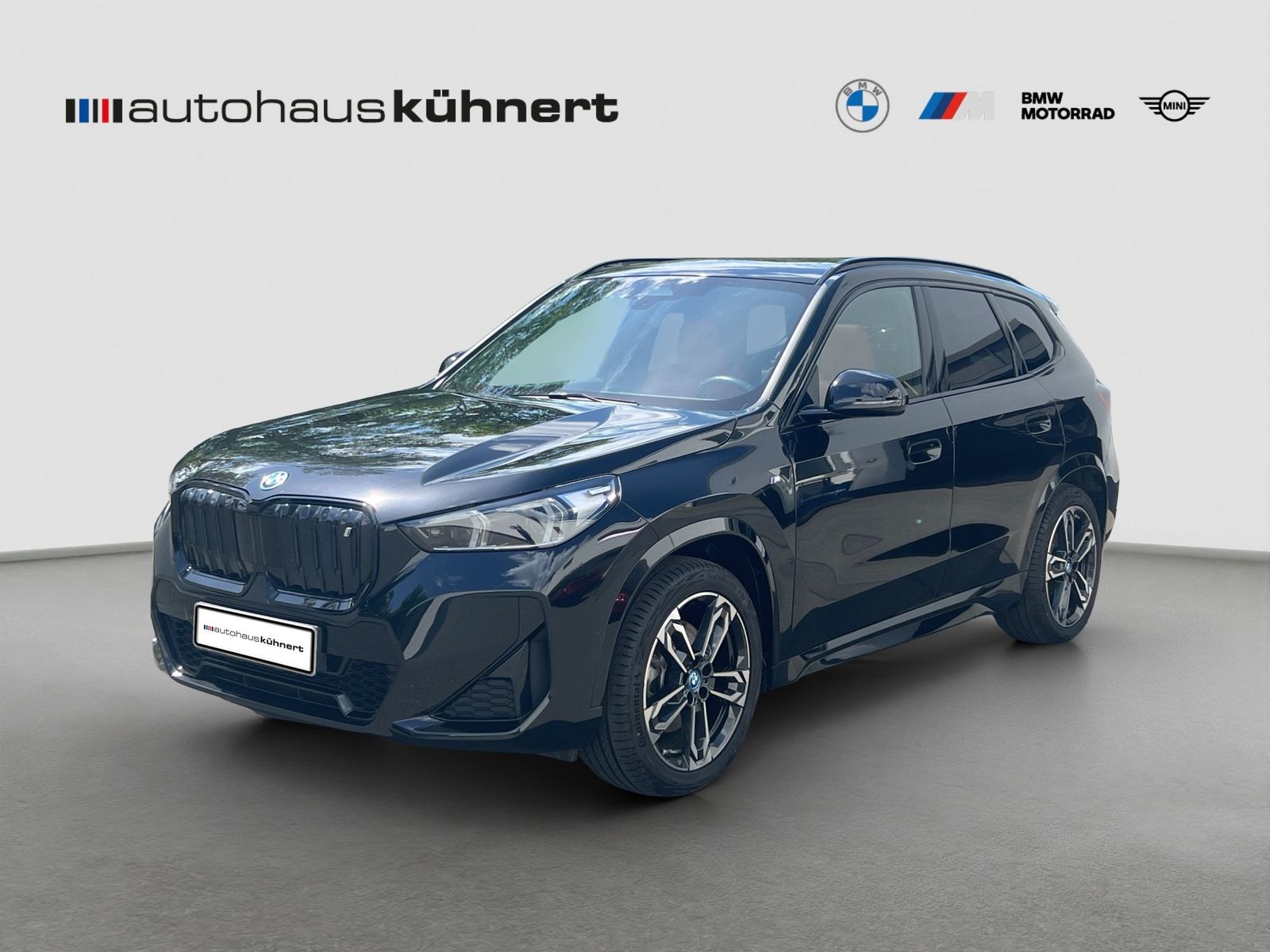BMW iX1 xDrive30 ///M-Sport PanoSD SpurAss AHK