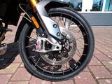 Triumph Tiger 900 Rallye Pro Koffer TC - TRIUMPH TIGER 900
