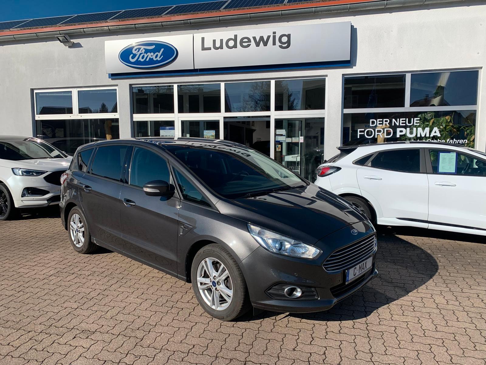 Ford S-Max Business Winterpaket