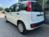 Fiat Pandina Hybrid Icon Klima PDC DAB Bluetooth... - Fiat Panda Gebrauchtwagen in Stuttgart