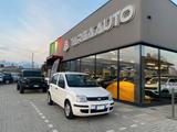 Fiat Panda 1.1 Active - Fiat Panda Cabrio Gebrauchtwagen