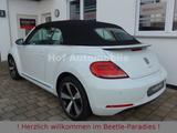 Volkswagen Beetle 1.2TSI Allstar Plus Xenon LED Kamera AppC - Volkswagen Gebrauchtwagen in Hanau