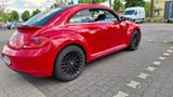Volkswagen Beetle 1.4 TSI - - Volkswagen Beetle in Berlin