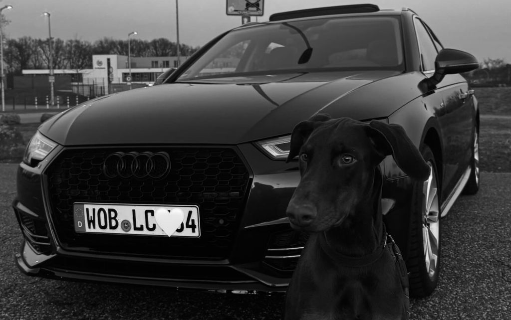 Image of Audi A4
