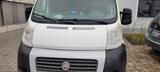 Fiat Ducato a la Mugato Multitransporter Campingbus - : Campingbus