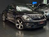 Volkswagen Beetle Lim. R-Line/Pano/Navi/Shz/BiXen/Temp/Pdc