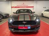 Ford Mustang Fastback - gebrauchte Ford Mustang aus dem Jahr 2017