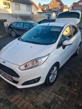 Ford Fiesta 1,0 EcoBoost 74kW Trend PowerShift Trend - Ford Fiesta: Powershift
