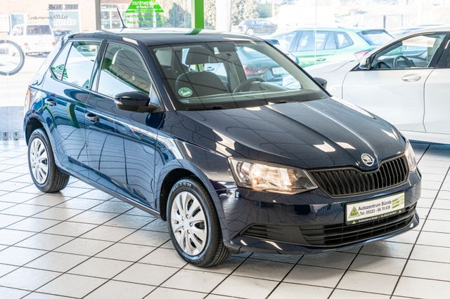 Skoda Fabia III Cool Edition 1.0 Benzin Klima PDC