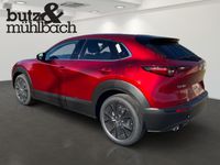 Mazda CX-30 - Vorschau Bild 5