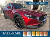 Mazda CX-30 SELECTION Leder 360° BOSE Matrix MRCC Sitz - Mazda CX-30 aus 2023