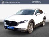 Mazda CX-30 e-SKYACTIVE X 186 SKYACTIV-Drive EXCLUSIVE - Mazda CX-30 Gebrauchtwagen in Frankfurt