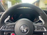 Alfa Romeo Giulia Quadrifoglio 520PS /SPARCO / ACRAPOVIC  - Alfa Romeo Gebrauchtwagen in Stuttgart