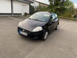 Fiat Punto 1.4 HU bis 03.2026 - Fiat Punto in Mainz