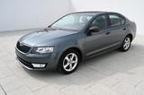 Skoda Octavia 1.6TDI 66KW Active 8/2015 - Skoda Octavia Active mit Diesel-Antrieb