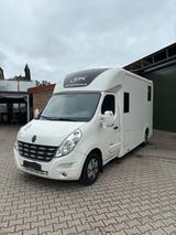 Renault Master Horsebox