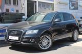 Audi Q5 2.0 TFSI quattro Leder Navi*R-Kam*Xenon*Pano - Audi Q5 bis 15.000 Euro