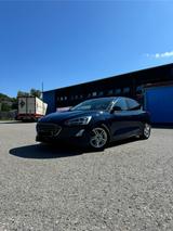 Ford Focus (Neuer Motor) - Ford Focus: Motor