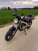 Suzuki GS 500 E + NEUE Reifen + TÜV frisch! - Offers matching your search criteria