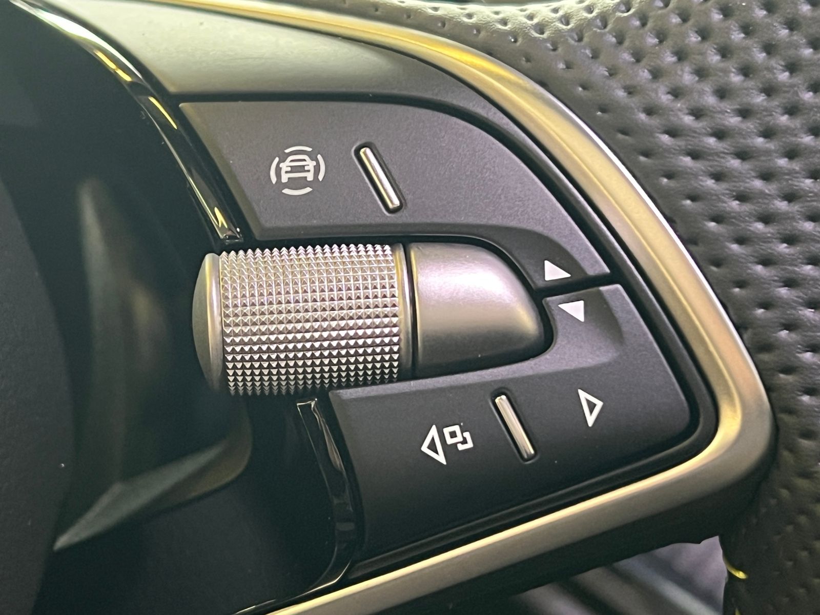 Fahrzeugabbildung SKODA Enyaq RS Lounge *AHK,Panoramadach,DCC*