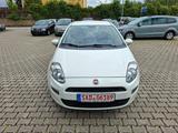Fiat Punto 1.2l, Klima, Euro-6, Tüv-11.2026 - Fiat Punto: 11