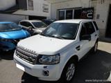 Land Rover LAND ROVER Freelander 2.2 eD4 2WD S.W. S - Land Rover Freelander aus 2014