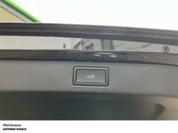 Skoda Kamiq - Vorschau Bild 12