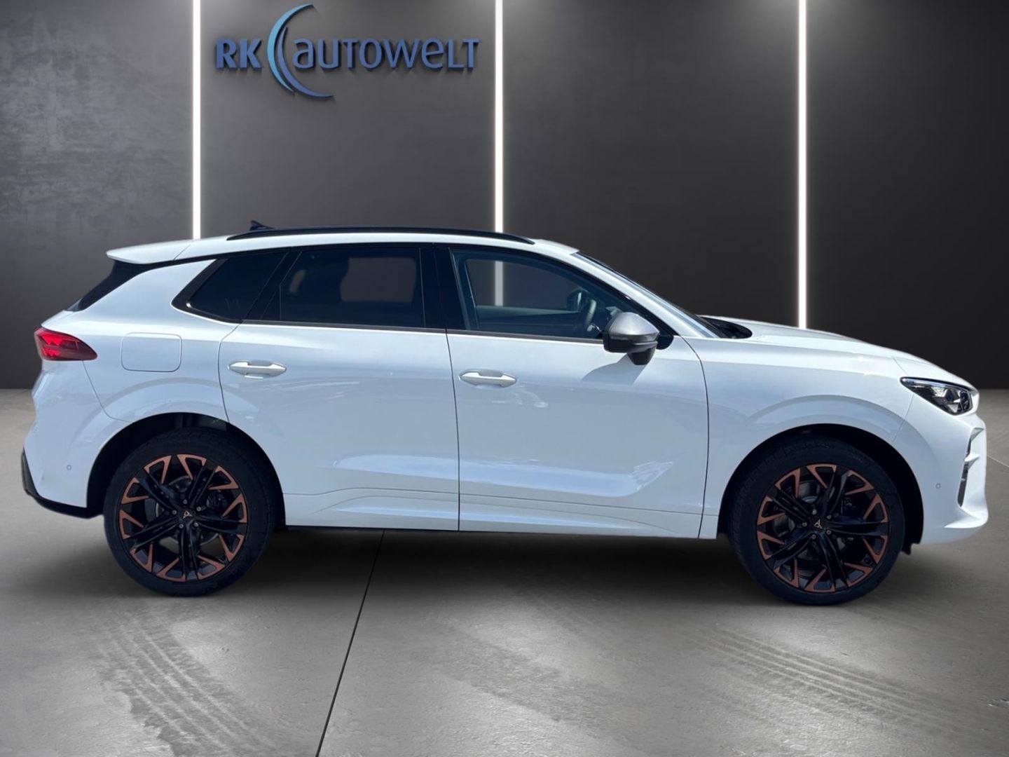 Cupra Terramar - Bild 3