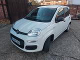 Fiat Panda easy 1,2 51kw 55tkm Klima - sparsam
