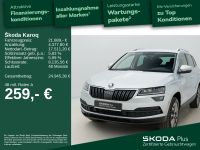 Skoda Karoq - Vorschau Bild 2