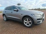 Jaguar F-Pace 20 D.E Performance, Prestige AHK, 19 Zoll