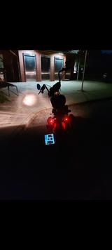 Harley-Davidson FLSTSB Softail Cross Bones - CHOPPER CRO