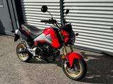 Honda MSX 125 / SEHR GEPFLEGT / SERVICE NEU !! - KLEINKRAFTRAD
