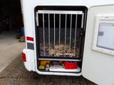 Carado T344 Top gepflegtes Carado-Wohnmobil (Hymer-Grup - Carado Wohnwagen & Wohnmobile