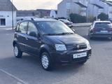Fiat Panda 1.2 8V Climbing  4X4 **KLIMA**1-HAND** - Fiat Panda: 4.4