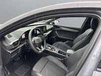 Cupra 