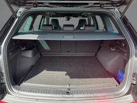 Skoda Kodiaq - Vorschau Bild 14
