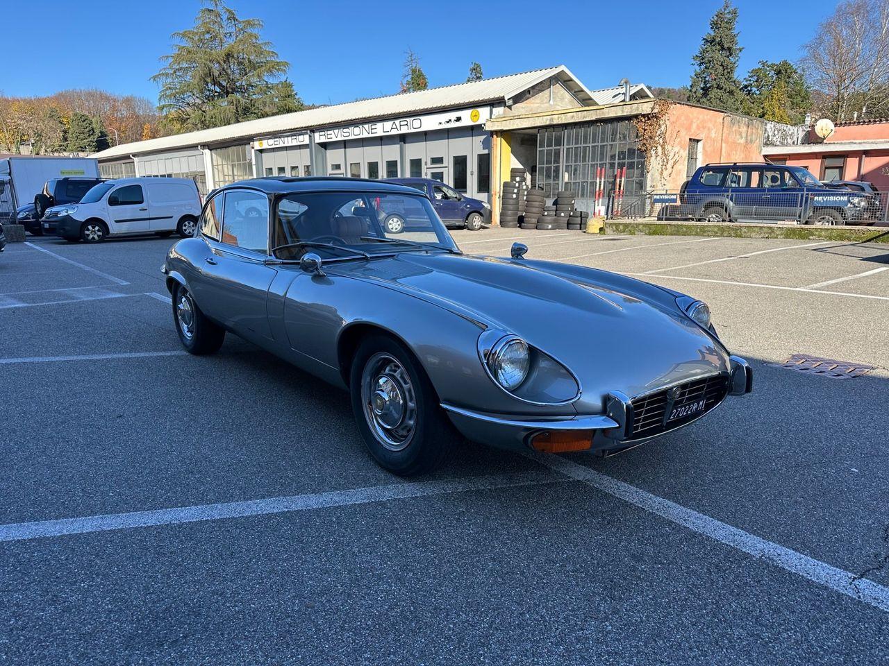 Jaguar Andere