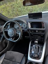 Audi SQ5 3.0 TDI plus tiptronic quattro - - Audi SQ5 Gebrauchtwagen in Köln