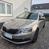 Skoda Octavia 1.6 TDI SCR DSG Ambition Combi Ambition - Skoda Octavia mit Diesel-Antrieb: Allradantrieb, Kombi, 1.6
