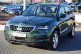 Skoda Karoq 1.0 TSI DSG Style LED AHK SmartLink - Skoda: Grün