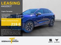 Cupra Terramar - Vorschau Bild 1