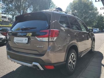 Subaru Forester - 6