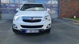 Opel Antara CDTI 2.2 Automatik 017615636978 - Opel Antara: 2.0