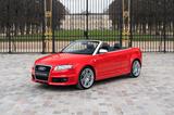 Audi RS4 4.2 quattro Cabriolet - first paint - Audi RS4: Cabrio