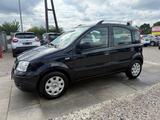 Fiat Panda 1.2 8V Dynamic Sportsitze Sport Lenkrad - gebrauchte Fiat Panda aus dem Jahr 2012