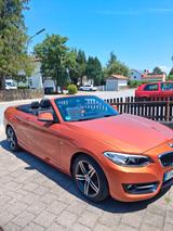 BMW 220i Cabrio Sport Line Sport Line